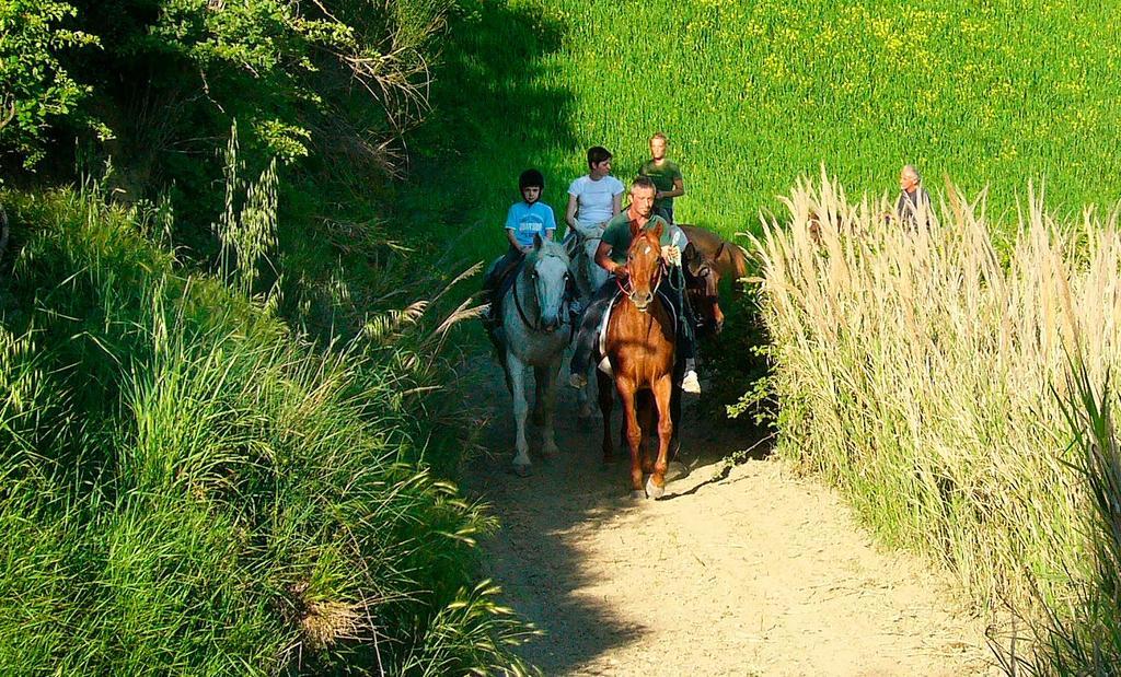 Casa Vacanze Borgolozzi Villa Sovicille Dış mekan fotoğraf