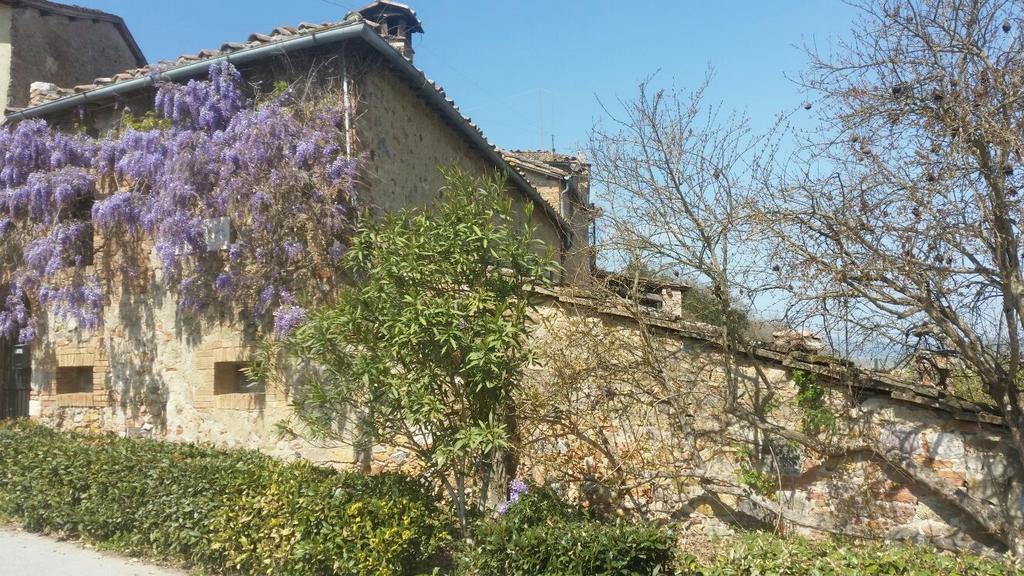 Casa Vacanze Borgolozzi Villa Sovicille Dış mekan fotoğraf