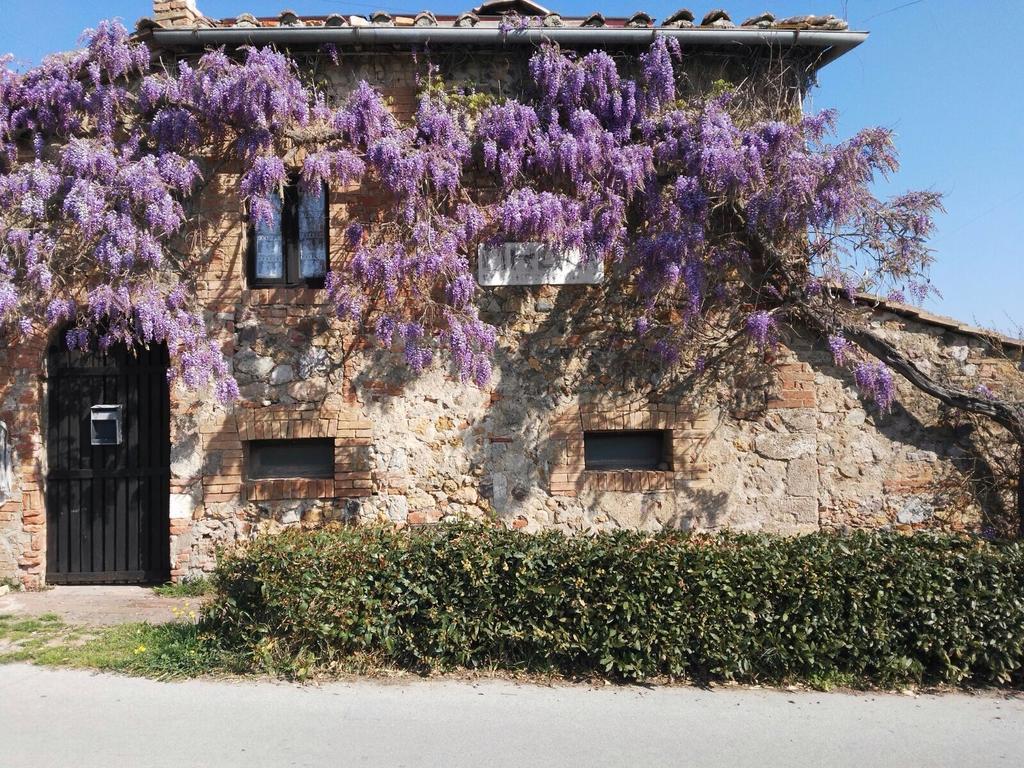 Casa Vacanze Borgolozzi Villa Sovicille Dış mekan fotoğraf